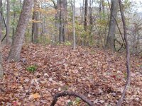 Red Wolf Run None, Mars Hill, NC 28754, MLS # 3678539 - Photo #10