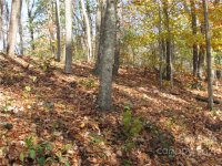 Red Wolf Run None, Mars Hill, NC 28754, MLS # 3678539 - Photo #11