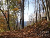 Red Wolf Run None, Mars Hill, NC 28754, MLS # 3678539 - Photo #12