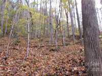 Red Wolf Run None, Mars Hill, NC 28754, MLS # 3678539 - Photo #13