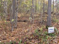 Red Wolf Run None, Mars Hill, NC 28754, MLS # 3678539 - Photo #14