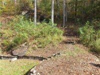 Red Wolf Run None, Mars Hill, NC 28754, MLS # 3678539 - Photo #23