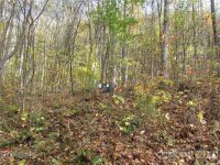 Red Wolf Run None, Mars Hill, NC 28754, MLS # 3678560 - Photo #3