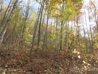 Red Wolf Run None, Mars Hill, NC 28754, MLS # 3678560 - Photo #4