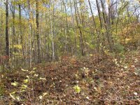 Red Wolf Run None, Mars Hill, NC 28754, MLS # 3678560 - Photo #5