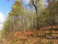 Red Wolf Run None, Mars Hill, NC 28754, MLS # 3678560 - Photo #7