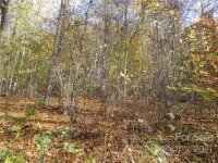 Red Wolf Run None, Mars Hill, NC 28754, MLS # 3678560 - Photo #8