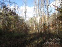 Red Wolf Run None, Mars Hill, NC 28754, MLS # 3678560 - Photo #18