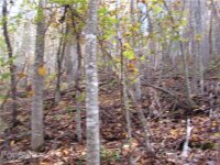 Red Wolf Run None, Mars Hill, NC 28754, MLS # 3678571 - Photo #1