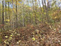 Red Wolf Run None, Mars Hill, NC 28754, MLS # 3678571 - Photo #4