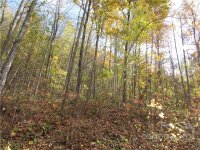 Red Wolf Run None, Mars Hill, NC 28754, MLS # 3678571 - Photo #5