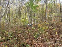 Red Wolf Run None, Mars Hill, NC 28754, MLS # 3678571 - Photo #6