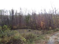 Red Wolf Run None, Mars Hill, NC 28754, MLS # 3678571 - Photo #19