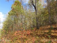 Red Wolf Run None, Mars Hill, NC 28754, MLS # 3678587 - Photo #1