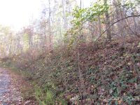 Red Wolf Run None, Mars Hill, NC 28754, MLS # 3678587 - Photo #3