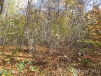 Red Wolf Run None, Mars Hill, NC 28754, MLS # 3678587 - Photo #4