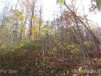 Red Wolf Run None, Mars Hill, NC 28754, MLS # 3678587 - Photo #7