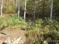 Red Wolf Run None, Mars Hill, NC 28754, MLS # 3678587 - Photo #18