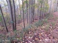 Red Wolf Run None, Mars Hill, NC 28754, MLS # 3678599 - Photo #3