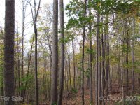 Red Wolf Run None, Mars Hill, NC 28754, MLS # 3678599 - Photo #4