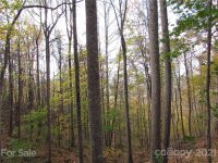 Red Wolf Run None, Mars Hill, NC 28754, MLS # 3678599 - Photo #5