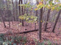 Red Wolf Run None, Mars Hill, NC 28754, MLS # 3678599 - Photo #6