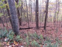 Red Wolf Run None, Mars Hill, NC 28754, MLS # 3678599 - Photo #7