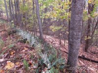 Red Wolf Run None, Mars Hill, NC 28754, MLS # 3678599 - Photo #8