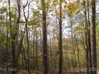 Red Wolf Run None, Mars Hill, NC 28754, MLS # 3678599 - Photo #9