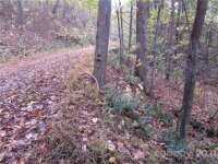 Red Wolf Run None, Mars Hill, NC 28754, MLS # 3678599 - Photo #10