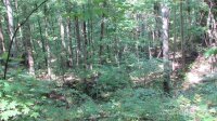 Red Wolf Run None, Mars Hill, NC 28754, MLS # 3678607 - Photo #1