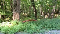 Red Wolf Run None, Mars Hill, NC 28754, MLS # 3678607 - Photo #3