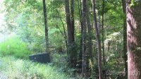 Red Wolf Run None, Mars Hill, NC 28754, MLS # 3678607 - Photo #4