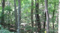 Red Wolf Run None, Mars Hill, NC 28754, MLS # 3678607 - Photo #6