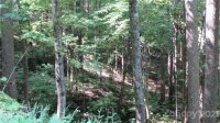 Red Wolf Run None, Mars Hill, NC 28754, MLS # 3678607 - Photo #8