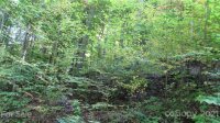 Red Wolf Run None, Mars Hill, NC 28754, MLS # 3678607 - Photo #9