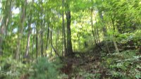 Red Wolf Run None, Mars Hill, NC 28754, MLS # 3678607 - Photo #10