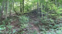 Red Wolf Run None, Mars Hill, NC 28754, MLS # 3678607 - Photo #11