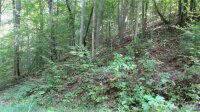 Red Wolf Run None, Mars Hill, NC 28754, MLS # 3678607 - Photo #12