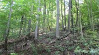 Red Wolf Run None, Mars Hill, NC 28754, MLS # 3678607 - Photo #14