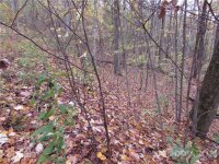 Red Wolf Run None, Mars Hill, NC 28754, MLS # 3678643 - Photo #2