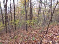 Red Wolf Run None, Mars Hill, NC 28754, MLS # 3678643 - Photo #3