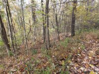 Red Wolf Run None, Mars Hill, NC 28754, MLS # 3678643 - Photo #5