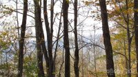 Red Wolf Run None, Mars Hill, NC 28754, MLS # 3678643 - Photo #6