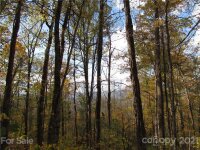 Red Wolf Run None, Mars Hill, NC 28754, MLS # 3678643 - Photo #8