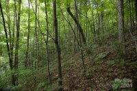 Little Pond Pass # Lot #, Mars Hill, NC 28754, MLS # 3765949 - Photo #17