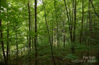 Little Pond Pass # Lot #, Mars Hill, NC 28754, MLS # 3765949 - Photo #18