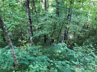 YOUNG BEAR Trail # 25, Maggie Valley, NC 28751, MLS # 3793166 - Photo #3