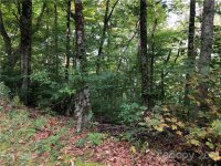 YOUNG BEAR Trail # 25, Maggie Valley, NC 28751, MLS # 3793166 - Photo #4
