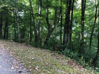YOUNG BEAR Trail # 25, Maggie Valley, NC 28751, MLS # 3793166 - Photo #6